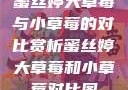 蜜丝婷大草莓与小草莓的对比赏析蜜丝婷大草莓和小草莓对比图