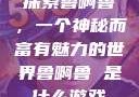 探索鲁啊鲁，一个神秘而富有魅力的世界鲁啊鲁 是什么游戏