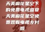 天美麻花星空下的免费电视盛宴天美麻花星空免费观看电视乡村版