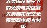 天美麻花星空下的免费电视盛宴天美麻花星空免费观看电视乡村版