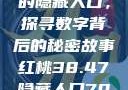 揭秘红桃背后的隐藏人口，探寻数字背后的秘密故事红桃38.47隐藏人口7004658