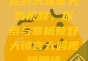 荒野大镖客大妈视频，探索与赏析荒野大镖客大妈视频剧情