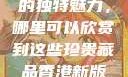 探索香港新版金银瓶1-5的独特魅力，哪里可以欣赏到这些珍贵藏品香港新版金银瓶1-5哪里可以看主8