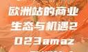 揭秘2023年Amazon欧洲站的商业生态与机遇2023amazon欧洲站大长颈