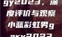 宏翔小蓝视频gy2023，深度评价与观察小蓝彩虹男gary2023的音乐作品