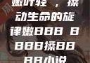 嫩叶轻槡，搡动生命的旋律嫩BBB槡BBBB搡BBBB小说
