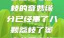 窦寇儿与荔枝的奇妙缘分已经塞了八颗荔枝了窦寇儿窦寇儿