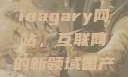 探索国产Chinagary网站，互联网的新领域国产网赞