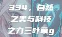 三叶草GW4334，自然之美与科技之力三叶草gw4334官网