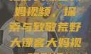 荒野大镖客大妈视频，探索与致敬荒野大镖客大妈视频剧情