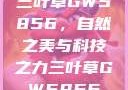 三叶草GW5856，自然之美与科技之力三叶草GW5856
