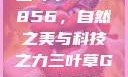 三叶草GW5856，自然之美与科技之力三叶草GW5856