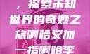 啊哈又加一指，探索未知世界的奇妙之旅啊哈又加一指啊哈李白韩信