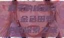 麦子的秘密2，金色田野中的探索之旅