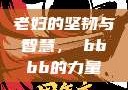 老妇的坚韧与智慧，槡bbbb的力量