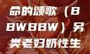 另类视角下的老妇奶性与生命的颂歌（BBWBBW）另类老妇奶性生BBwBBw肥婆BBX