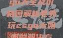 欧美大妈Logo大全及价格图解析老外玩csgo大姐姐的解决方法