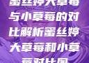 蜜丝婷大草莓与小草莓的对比解析蜜丝婷大草莓和小草莓对比图