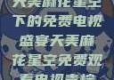 天美麻花星空下的免费电视盛宴天美麻花星空免费观看电视青柠