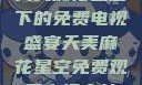 天美麻花星空下的免费电视盛宴天美麻花星空免费观看电视青柠