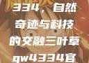三叶草GW4334，自然奇迹与科技的交融三叶草gw4334官网