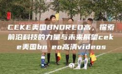 CEKE美国BNDREO高，探索前沿科技的力量与未来展望ceke美国bnдeo高清videos