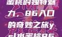 探索YSL水蜜桃的独特魅力，86入口的奇妙之旅ysl水蜜桃86入口直播