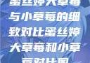 蜜丝婷大草莓与小草莓的细致对比蜜丝婷大草莓和小草莓对比图
