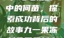 九一果冻制品厂与电视剧中的何苗，探索成功背后的故事九一果冻制品厂最新电视剧何苗小说