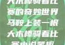 马鞍上装一根大木棒骑着比赛的奇妙世界马鞍上装一根大木棒骑着比赛小说笔趣阁