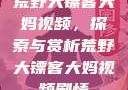 荒野大镖客大妈视频，探索与赏析荒野大镖客大妈视频剧情