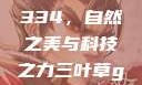 三叶草GW4334，自然之美与科技之力三叶草gw4334官网