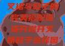瑶瑶开襟开叉裙与鞋子的完美搭配瑶瑶开襟开叉裙鞋子选择图片
