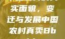 中国农村的真实面貌，变迁与发展中国农村真卖Bbwbbw