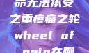 疼痛之轮，生命无法承受之重疼痛之轮wheel of pain在哪里