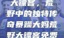暴躁大妈荒野大镖客，荒野中的独特传奇暴躁大妈荒野大镖客免费观看