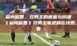 菊内留香，双男主的邂逅与纠缠《菊内留香》双男主电视剧在线观看