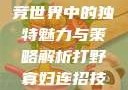 打野寡妇，电竞世界中的独特魅力与策略解析打野寡妇连招技巧大全