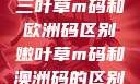 三叶草m码和欧洲码区别嫩叶草m码和澳洲码的区别