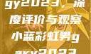 宏翔小蓝视频gy2023，深度评价与观察小蓝彩虹男gary2023的音乐作品