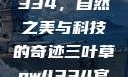 三叶草GW4334，自然之美与科技的奇迹三叶草gw4334官网
