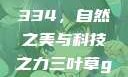 三叶草GW4334，自然之美与科技之力三叶草gw4334官网