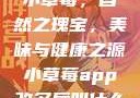 小草莓，自然之瑰宝，美味与健康之源小草莓app改名后叫什么