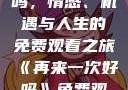 再来一次好吗，情感、机遇与人生的免费观看之旅《再来一次好吗》免费观看高清全集