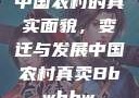 中国农村的真实面貌，变迁与发展中国农村真卖Bbwbbw