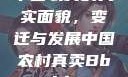 中国农村的真实面貌，变迁与发展中国农村真卖Bbwbbw