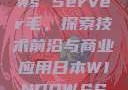 日本Windows Server毛，探索技术前沿与商业应用日本WINDOWSSERVER毛