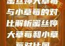 蜜丝婷大草莓与小草莓的对比解析蜜丝婷大草莓和小草莓对比图