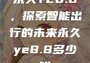 永久YE8.8，探索智能出行的未来永久ye8.8多少钱