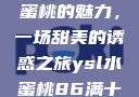 探索YSL水蜜桃的魅力，一场甜美的诱惑之旅ysl水蜜桃86满十八和88区别